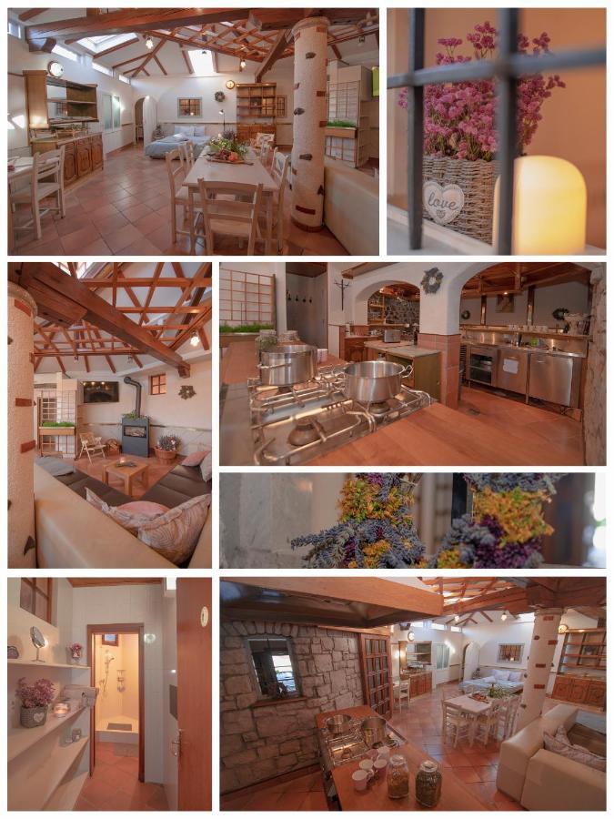 Apartment Ana - Karst Cycling Paradise Dutovlje Kültér fotó