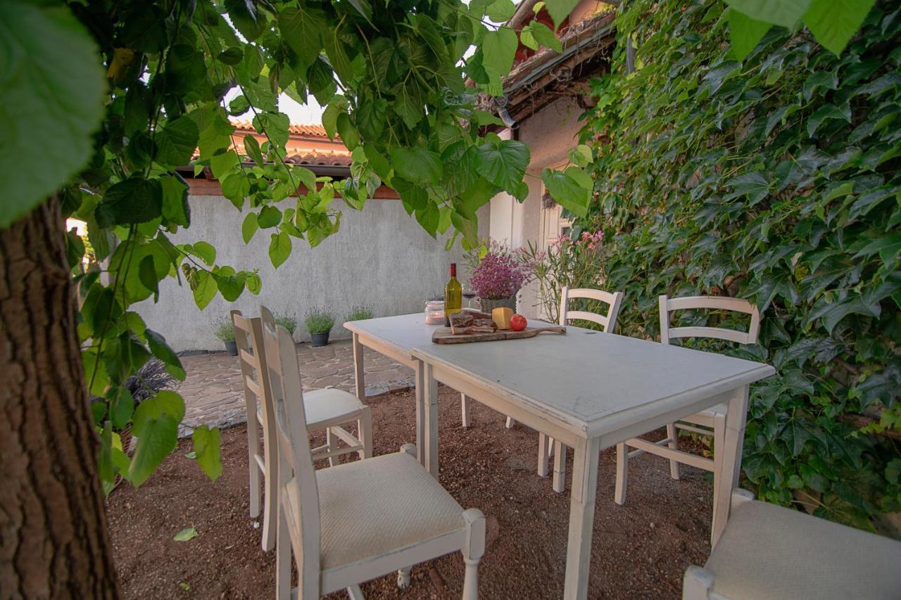 Apartment Ana - Karst Cycling Paradise Dutovlje Kültér fotó