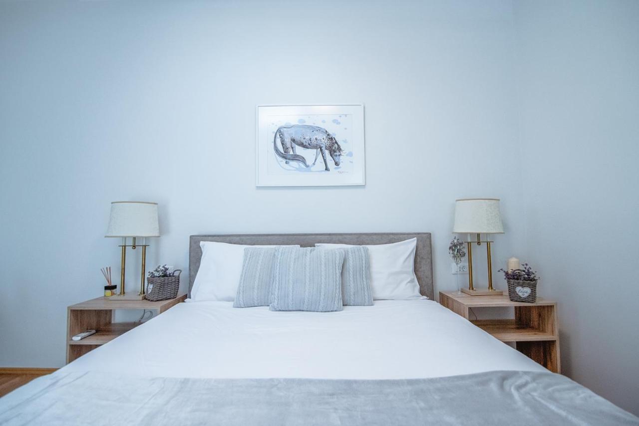 Apartment Ana - Karst Cycling Paradise Dutovlje Kültér fotó
